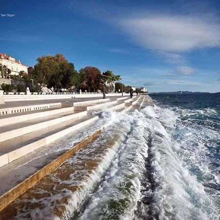 Reza Luxury Apartment Zadar Exterior foto